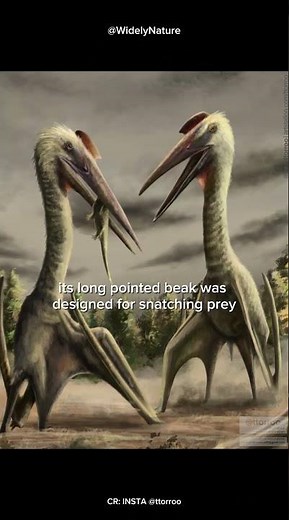 Quetzalcoatlus – The Giant That Could Swallow You Whole #quetzalcoatlus #pterosaurus