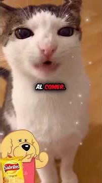 PROOF that YOUR BRAIN LIES to you when you EAT! #eating #brain #shorts