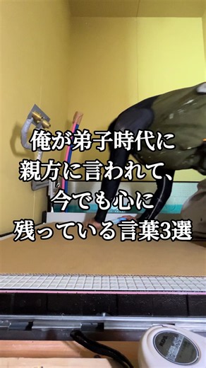これは俺がまだ見習いだった頃、親方に言われて今でも現場に立つたびに思い出している言葉です。 当時はとにかく早く施工を覚えなきゃと必死でしたが、自分が親方になってこの言葉の重みが心に染みています。 どんなに手が早くて技術があっても、挨拶ができない奴、道具や現場を散らかす奴、人のせいにする奴は長続きしない。 逆に、不器用でも一生懸命で、気持ちいい挨拶ができて、現場をキレイに保てる奴は、周りの職人からもお客さんからも愛されてどんどん成長していく。 だからこそ、俺の元に来てくれる見習いにも、ただ『手際が良い職人』じゃなくて**『現場から愛される一流のプロ』**になってほしいと思って接しています。 俺自身もまだまだ発展途中。昔の親方に恥じない背中を見せていきます！ みんなが昔の親方や先輩に言われて「今でも胸に刺さってる言葉」があれば、ぜひコメントで教えてください！ #ユニットバス #ユニットバス施工 #職人募集 #見習い募集 #現場男子