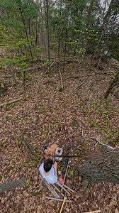 2.6M views · 42K reactions | Thought I would do a little recap for day 150 | Arthur Scott | Facebook