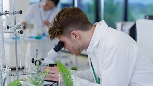 4k Biology Research Scientist Working Lab Stock Footage Video (100% Royalty-free) 20215021 | Shutterstock