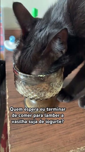 Preta Gil lambendo a vasilha suja de iogurte!