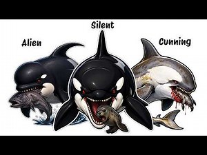 Every Orca Type Explained In 24 Minutes