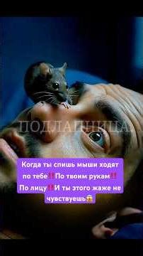 #mice #animalfacts #nature #ecology #scientificfacts