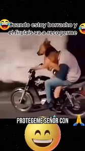 17K reactions · 1.7K shares | Jose Perez on Reels | Facebook