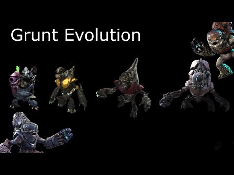 The Evolution of Halo's Covenant - The Grunts