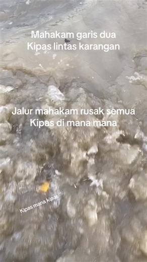 syp pengipas mahakam