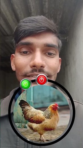 Egg 🥚 change देशी मुर्गी ||Challange video|| #video #puzzle #puzzlegame #challenge #video