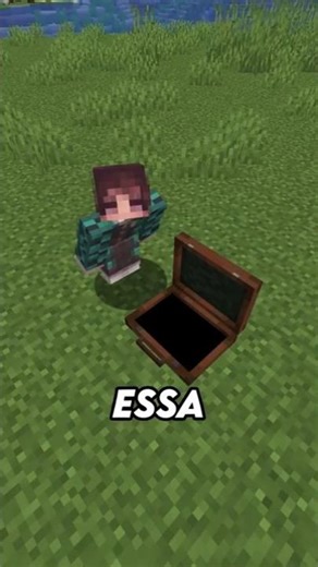 This suitcase is bigger on the inside.