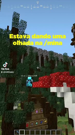 Servidor Minecraft Java Edition 1.8.9