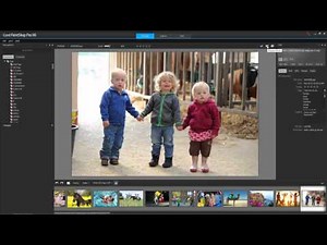 Introducing PaintShop Pro X6 -- Getting to know the workspace