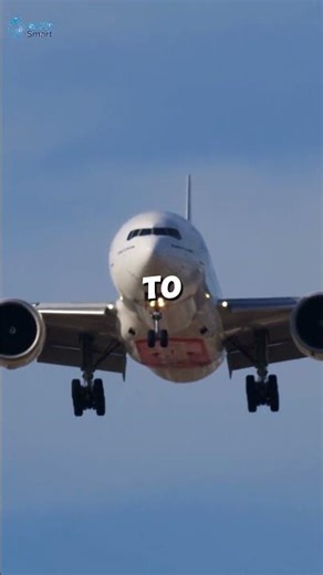 How Pilots Land Planes in Zero Visibility #airplane #aviation #short