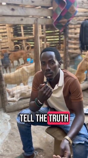 You pressed all the buttons on your screen to help stray dogs in need 🐾💖Donate now link in bio