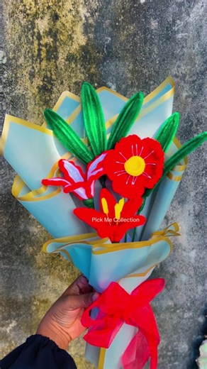 Pick Me Collection MV on TikTok