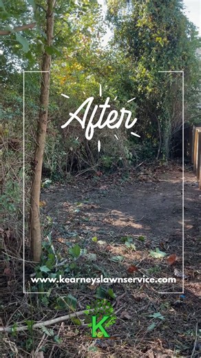 Before & After: Fence Line Clearing  Brush and vines may seem harmless, but over time they trap moisture, cause fences to rot or rust, and create hiding spots for pests. Regular fence line clearing keeps your property looking sharp and helps your fence last for years. This customer had 20 feet of overgrowth—we cleared it fast and left the space clean, open, and easy to maintain.  (804) 423-8689 |  kearneyslawnservice.com | Kearney's Lawn Care & Hauling LLC | Facebook