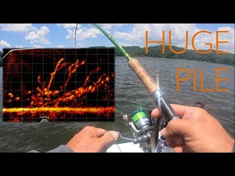 Garmin LiveScope View