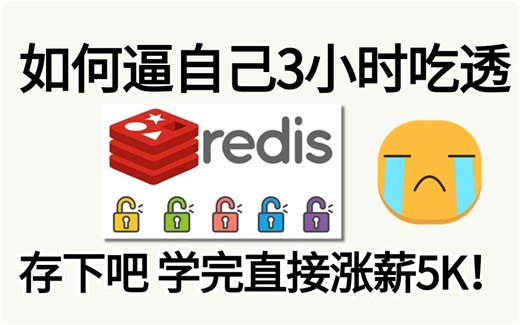 2024最新最全最详细的 Redis高并发分布式锁实战教程全集丨800分钟带你掌握redis高并发所有核心知识点，全程干货，无废话！