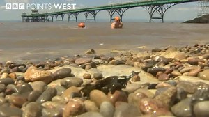 19K views · 226 reactions | Two women from North Somerset who lost their babies at almost full term are raising money for the charity that helped them cope. Mary Stanley-Duke and Suzi Brown plan to swim the English Channel together in memory of their daughters. | BBC Bristol | Facebook