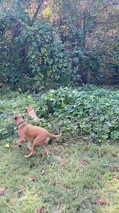 Sarah Lawrence on Reels