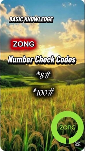 Zong SIM Number Check Code | How to Check Zong SIM Number | Zong Ka Number Kaise Check Karein