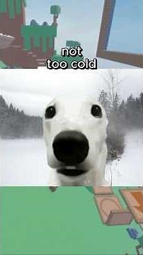 Did Scientists Just Find Alien Life Nearby?