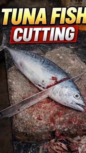🔪 Professional Tuna Fish Cutting – Clean, Sharp, Perfect #shorts