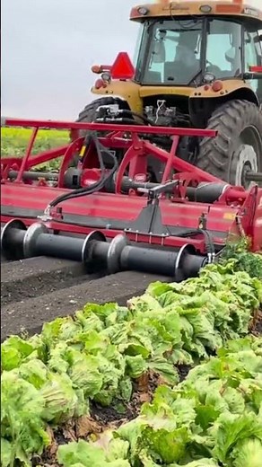 Reverse Tiller with Motorized Roller #agriculture #farmequipment #farmer #tractor #farming #veggie
