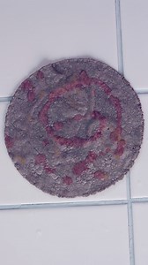 70K views · 1.1K reactions | Lets do a science experiment to test whether there’s food dye in your blue corn tortillas. Real-deal blue corn tortillas turn pink when they come into contact with lime, because of a chemical reaction between the blue corn’s natural pigment and the acid of the lime. Artificial coloring won’t react to acid, so if there’s no color change, well ... no thanks! ‍↔️ | Masienda | Facebook