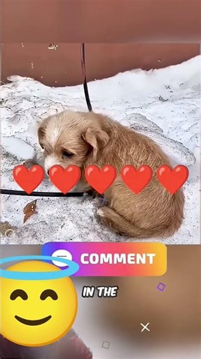 agar aapko bhi kahin Aisa switch dikhe to use dabane ki galti mat karna 🤯😱😱 #ytshorts #youtubeshorts