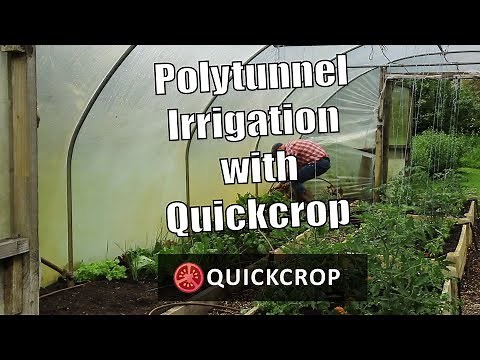 Polytunnel Irrigation with Quickcrop