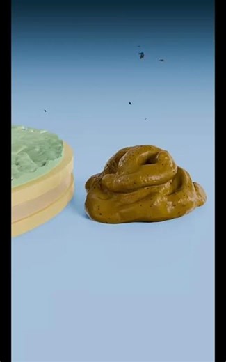 Ant Poop vs Wolf Poop