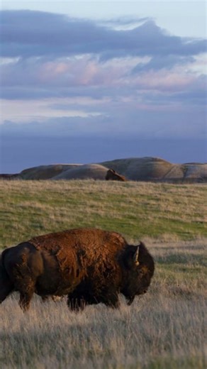 The Great Plains: America’s Endless Breadbasket