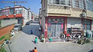 A Wild Boar Knocked A Woman Down