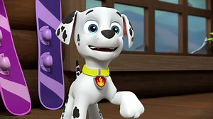 Watch PAW Patrol Season 4 Episode 6: Pups Save Jake's Cake / Pups Save a Wild Ride - Paramount  Canada
