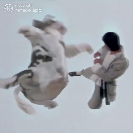 vous connaissez kung pow ?