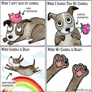 110K views · 2.6K reactions | Isn't this the truth! Graphic credit: Red and Howling | A Dog's Purpose | Facebook