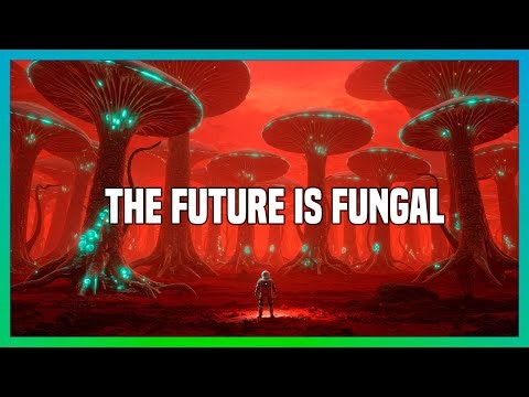 Mycelium: The Alien Intelligence Under Our Feet