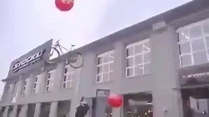 6.9K views | omg watch this | Wtf Videos | Facebook