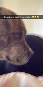 3.1K views · 106 reactions | Lydia Rotary on Reels | Facebook