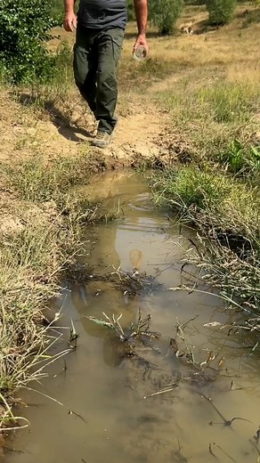 95K views · 262 reactions | Survival Skills Amazing Dirty Water Purification Filter  #survival | Sergio Outdoors | Facebook