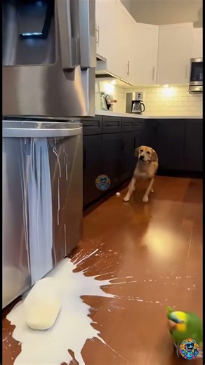 O Golpe do Lanche! #inteligenciaartificial #viral #ia #ias #a #veo3 #comedia #meme #papagaio