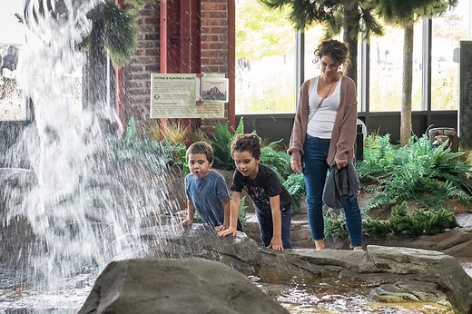 DNR Outdoor Adventure Center