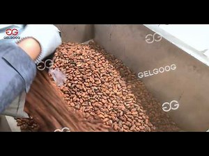 Complete Cocoa Processing Line Solution | Turn Cocoa Beans Into Profit