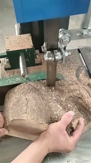 Cutting a large wooden slab on a bandsaw machine with sawdust flying #shorts