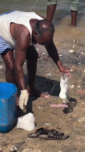 Ancient Fishing Technique: How an 80-Year-Old Catches Mullet with a Bottle! #fishing Fishing #