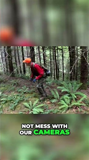 Camera Drama! They Tried To Rob Us! #shorts