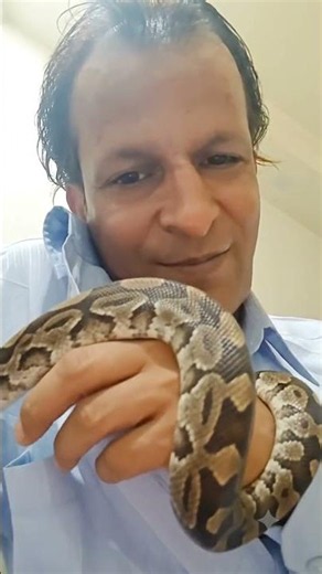 मेरे हाथ में विशाल अजगर! 🐍😱 | AI Photo Editing | Python Snake Challenge