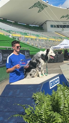 American Kennel Club on Instagram: "Big round of applause to Finn Proctor and Figment! 👏🏆 Your Men's Far Out winners at the 2025 AKC UpDog Invitational presented by @geico!"