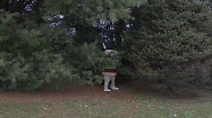 Will the Wild Thing find Max? Visit lexpublib.org/wildthings | Lexington Public Library