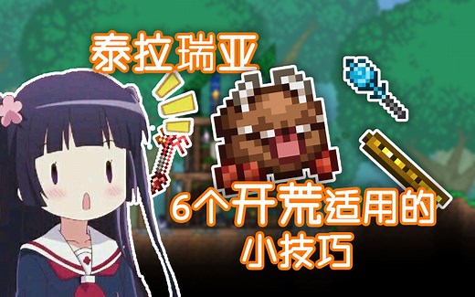 【泰拉瑞亚】6个大幅提升游戏体验的小技巧